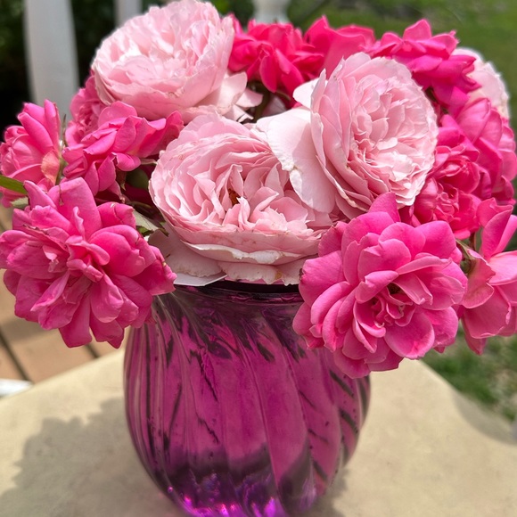 Meet your Posher, - Picture 8 of 15